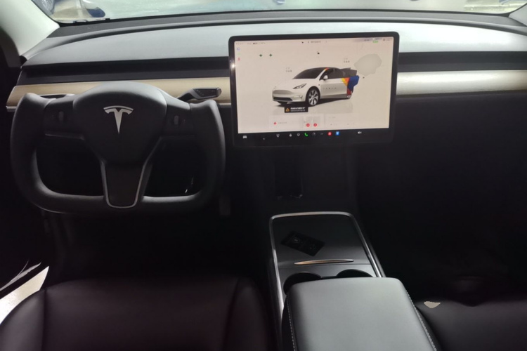 Tesla Model Y 2022 car image #10