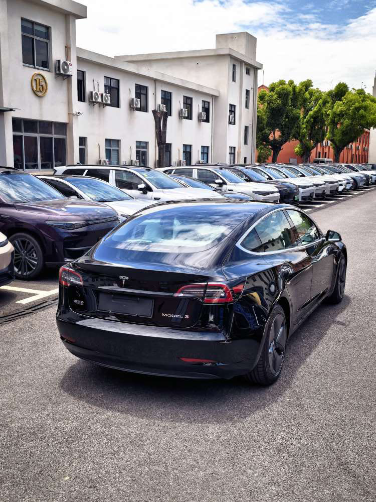 Tesla Model 3 2021 car image #8