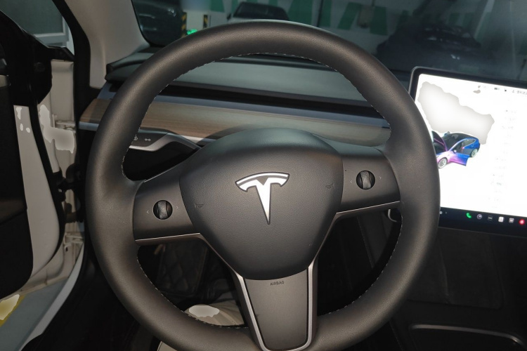 Tesla Model 3 2021 car image #11