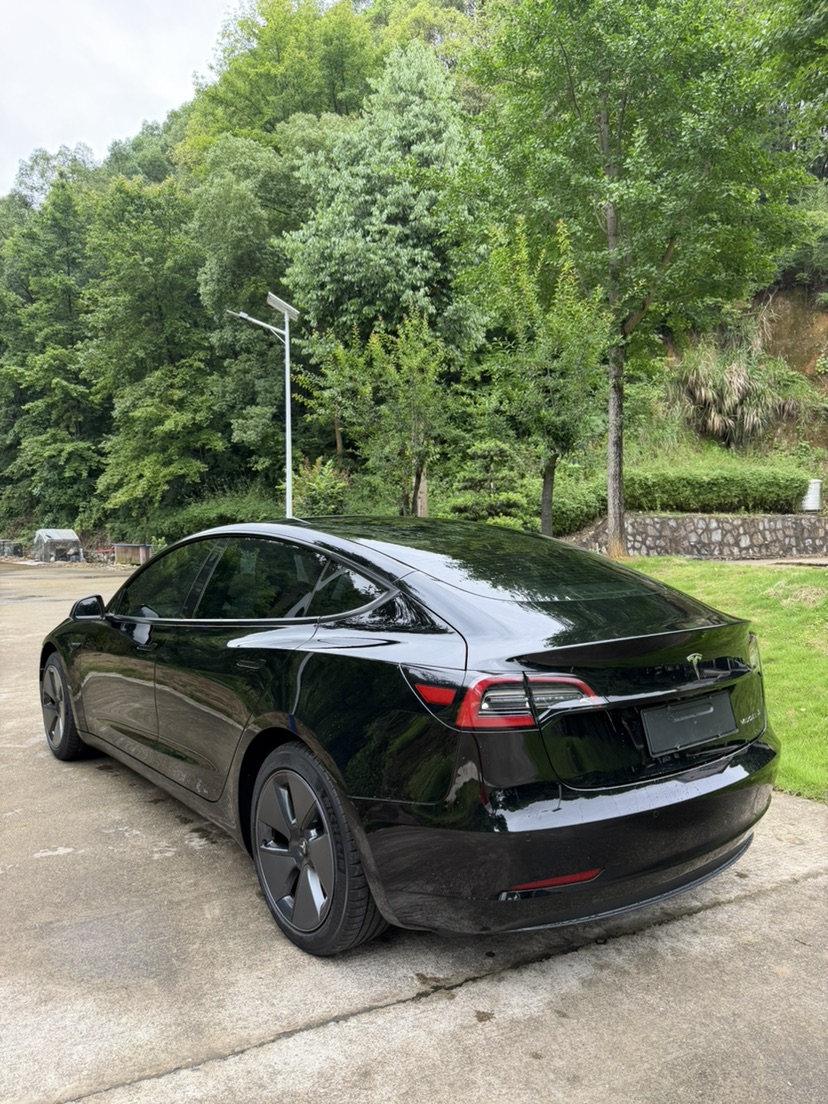 Tesla Model 3 2021 car image #9