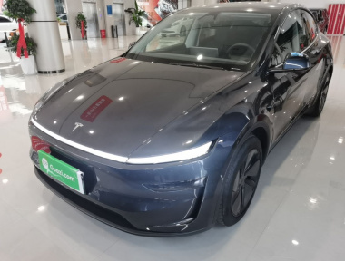 Tesla Model Y 2025 Tesla Model Y 2025 car image