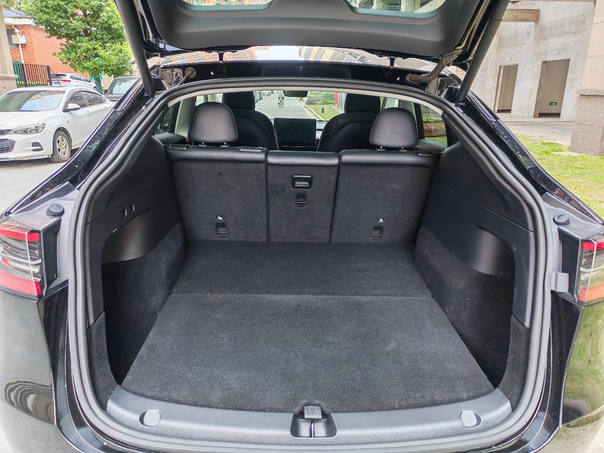Tesla Model Y 2021 car image #10