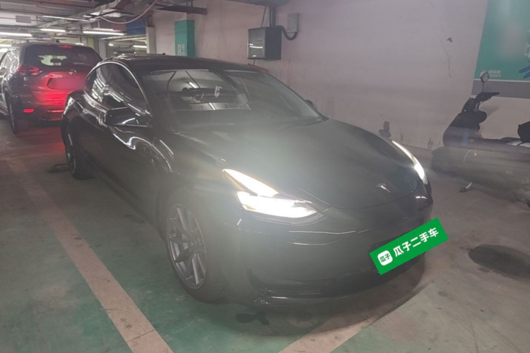 Tesla Model 3 2021 car image #4