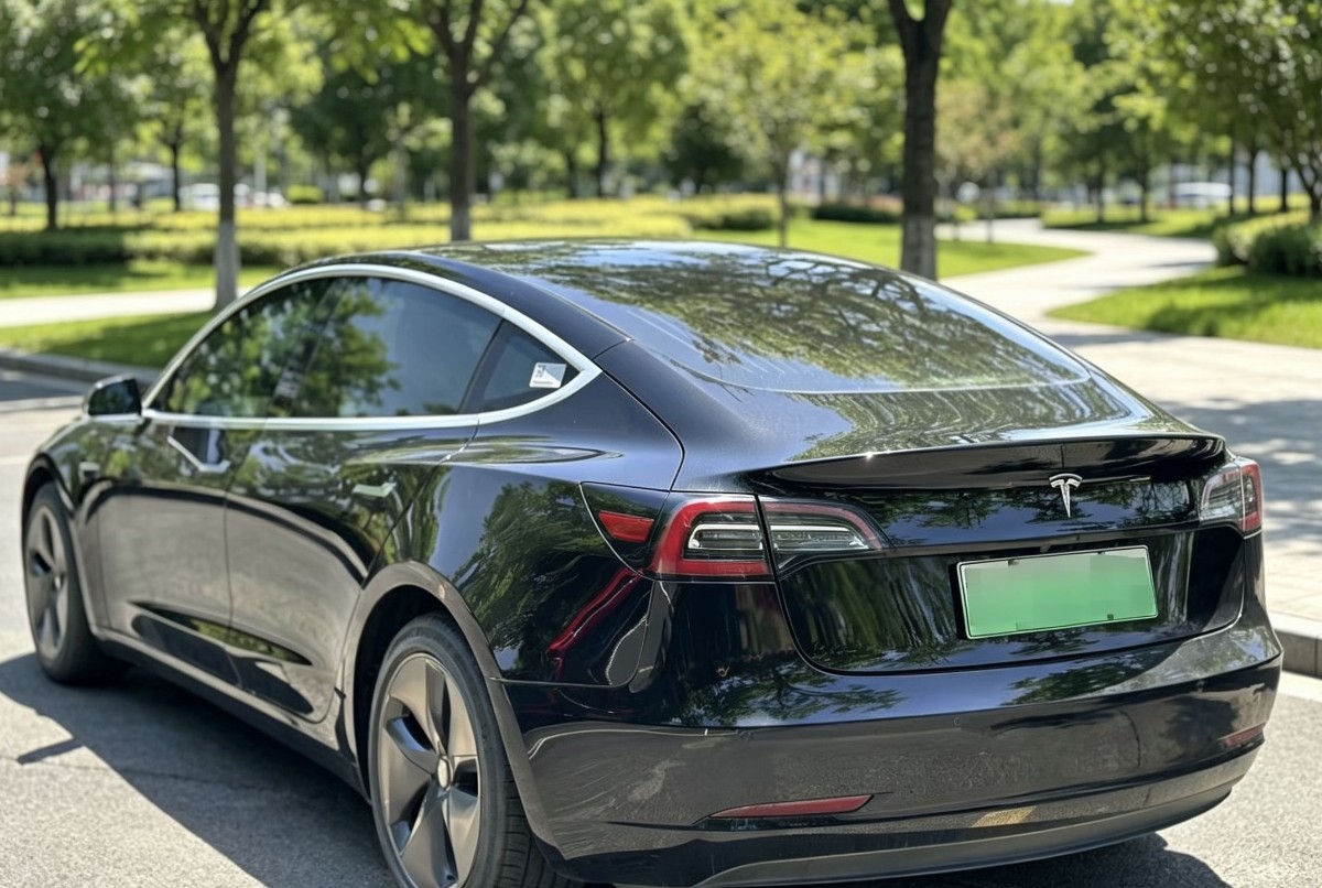 Tesla Model 3 2020 #6 Tesla Model 3 2020 car image #6