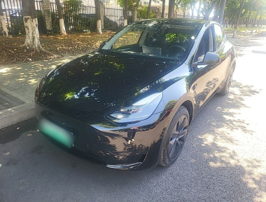 Tesla Model Y 2024 Tesla Model Y 2024 car image