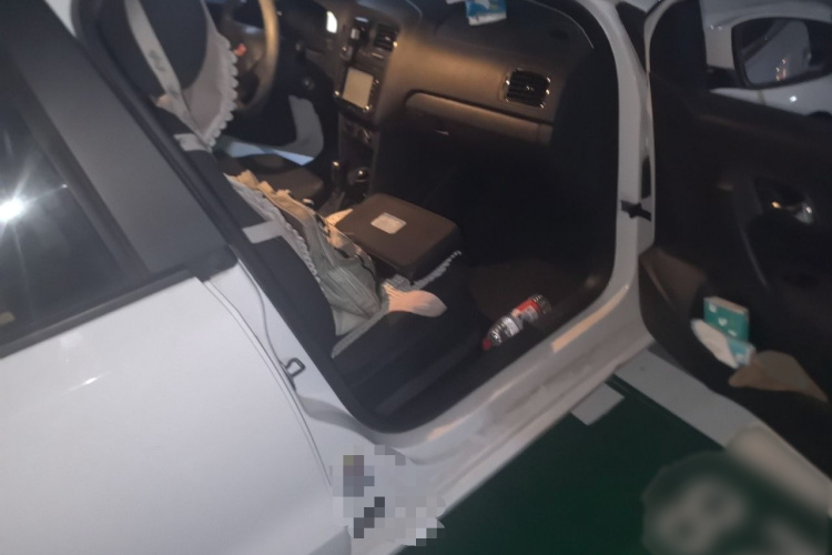 Volkswagen Polo 2015 car image #27