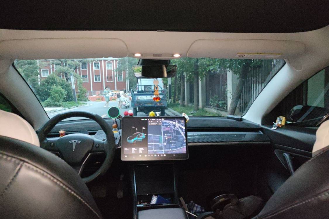 Tesla Model 3 2020 #22 Tesla Model 3 2020 car image #22