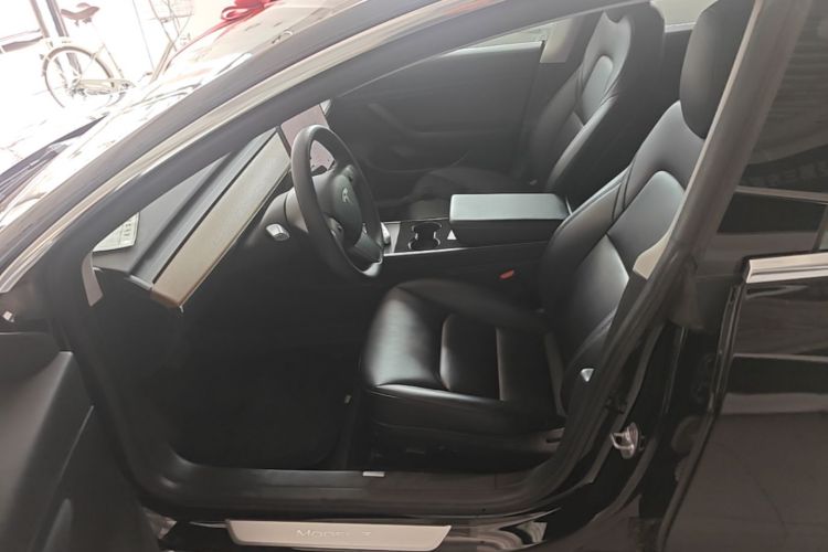 Tesla Model 3 2020 car image #15