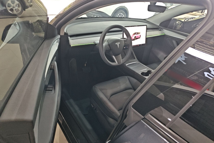 Tesla Model Y 2024 car image #15