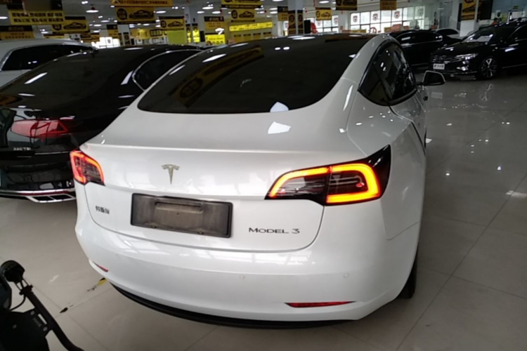 Tesla Model 3 2021 #6 Tesla Model 3 2021 car image #6