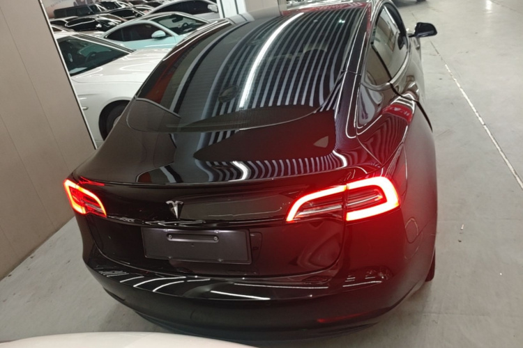 Tesla Model 3 2023 car image #6