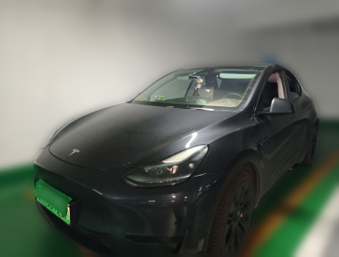 Tesla Model Y 2024 Tesla Model Y 2024 car image