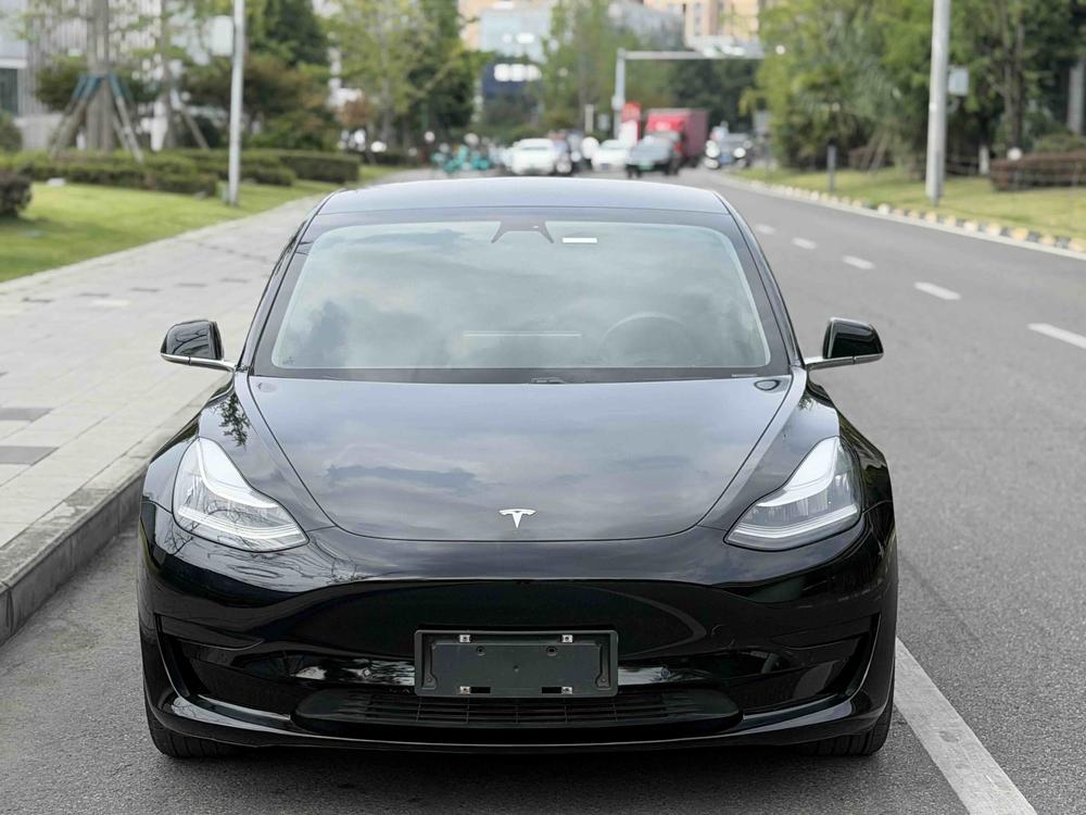Tesla Model 3 2020 #2 Tesla Model 3 2020 car image #2