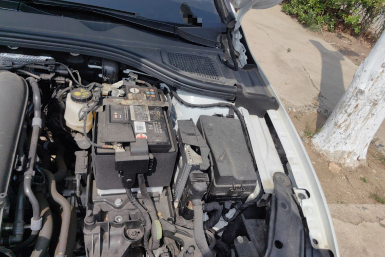 Volkswagen Golf 2024 imagen de coche #25