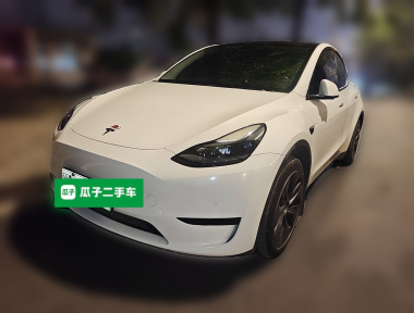 Tesla Model Y 2023 immagine di auto 