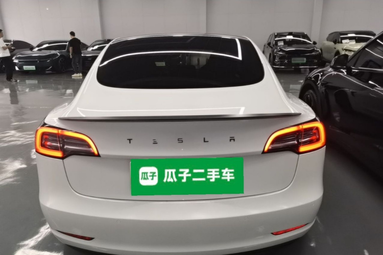 Tesla Model 3 2021 #6 Tesla Model 3 2021 car image #6