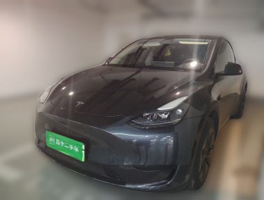 Tesla Model Y 2025 immagine di auto 