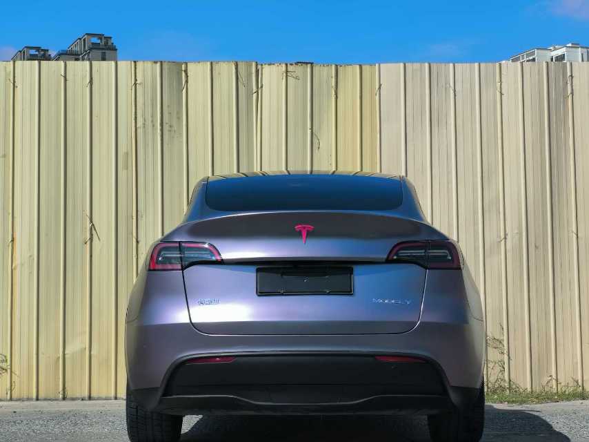 Tesla Model Y 2024 car image #8