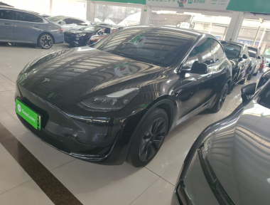 Tesla Model Y 2023 car image 