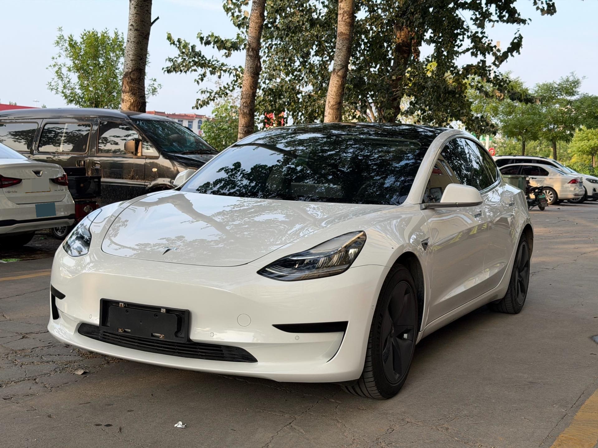 Tesla Model 3 2021 car image 