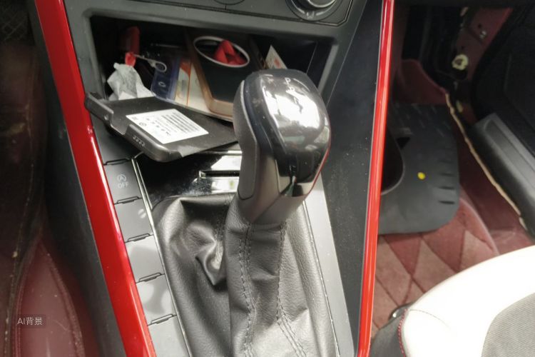 Volkswagen Polo 2019 car image #16