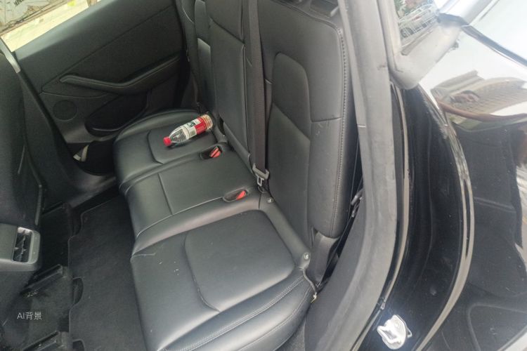 Tesla Model Y 2024 car image #19