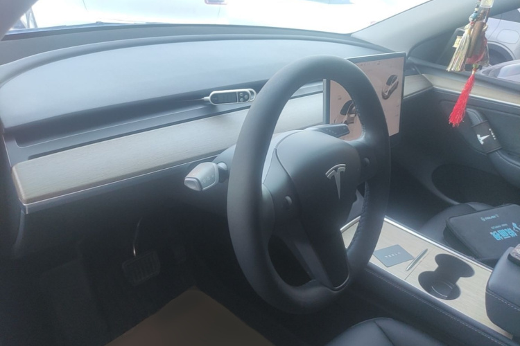 Tesla Model Y 2022 car image #10