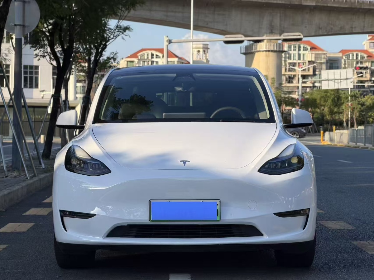 Tesla Model Y 2023 Tesla Model Y 2023 imagem de carro