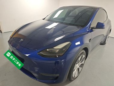 Tesla Model Y 2021 car image 