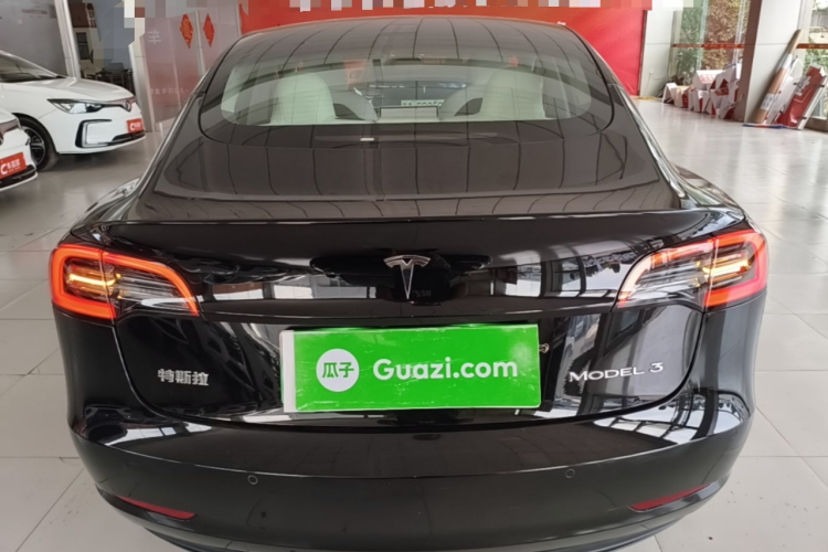 Tesla Model 3 2022 car image #6