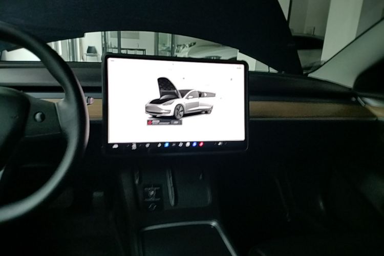 Tesla Model 3 2023 car image #13