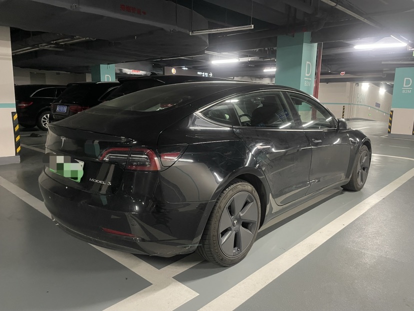 Tesla Model 3 2021 #5 Tesla Model 3 2021 car image #5