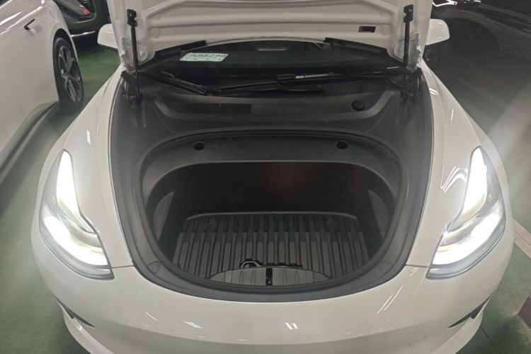 Tesla Model 3 2021 car image #20