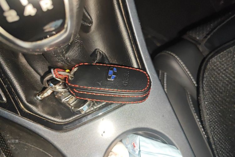 GEELY Emgrand 2019 immagine di auto #10