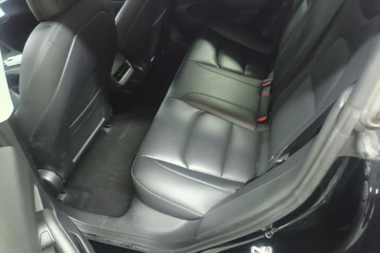Tesla Model 3 2021 car image #17