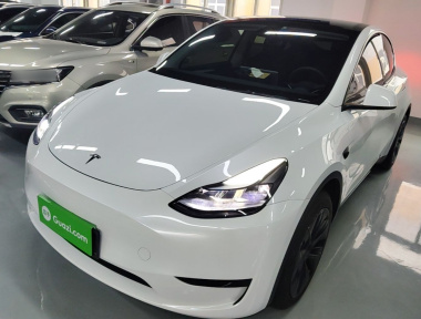 Tesla Model Y 2024 Tesla Model Y 2024 car image