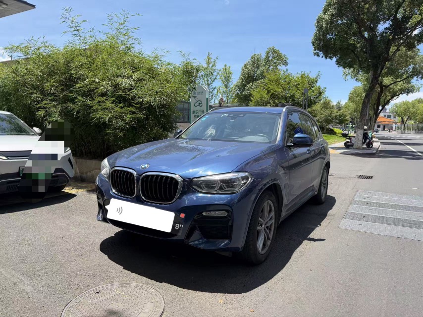 BMW X3 2019 car image 