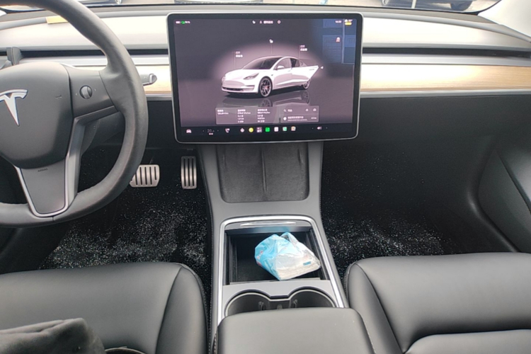 Tesla Model 3 2021 #13 Tesla Model 3 2021 car image #13