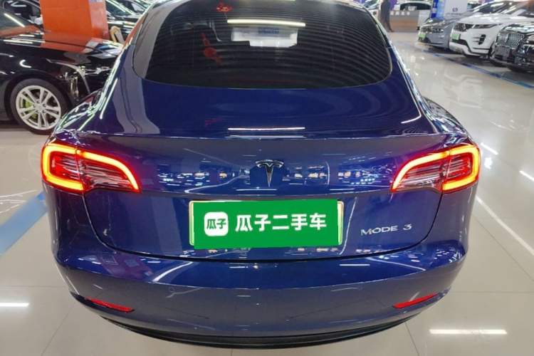 Tesla Model 3 2021 car image #6