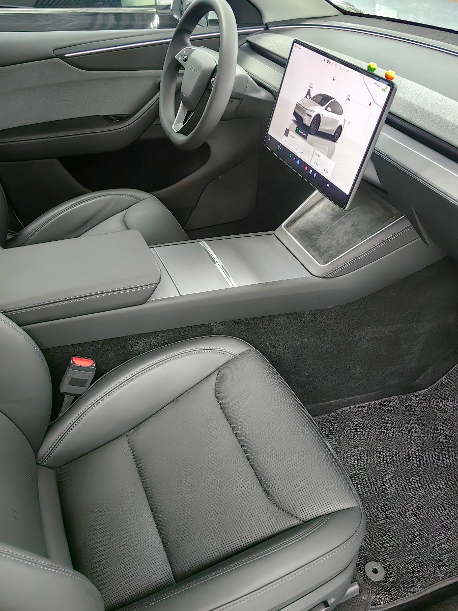 Tesla Model Y 2025 car image #6