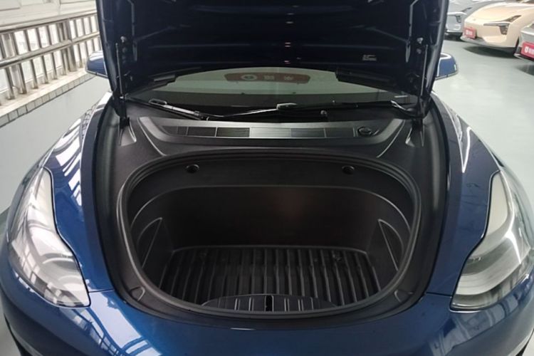 Tesla Model 3 2021 #20 Tesla Model 3 2021 car image #20