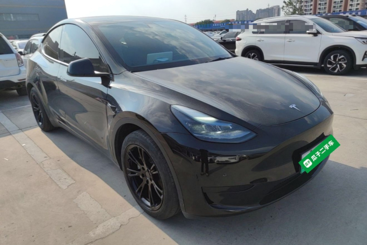 Tesla Model Y 2022 car image #6