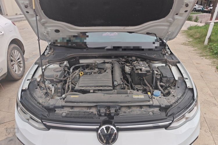 Volkswagen Golf 2021 car image #22