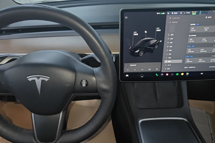 Tesla Model 3 2020 car image #10