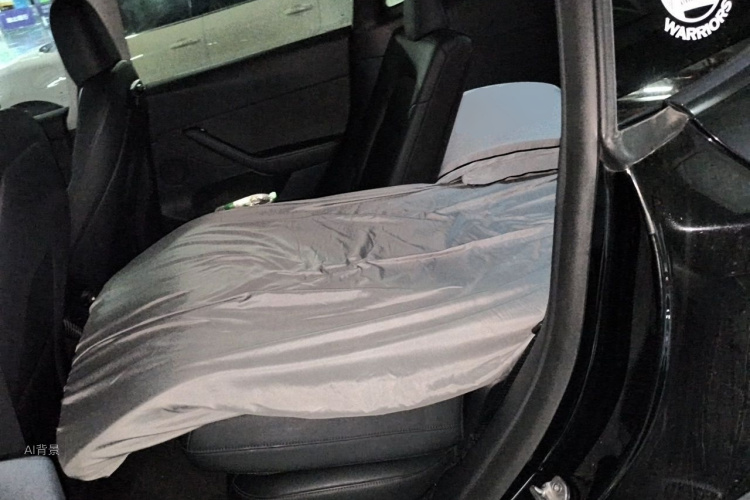 Tesla Model Y 2021 car image #19