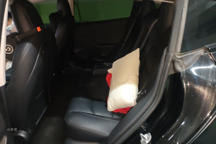 Tesla Model 3 2021 #19 Tesla Model 3 2021 car image #19