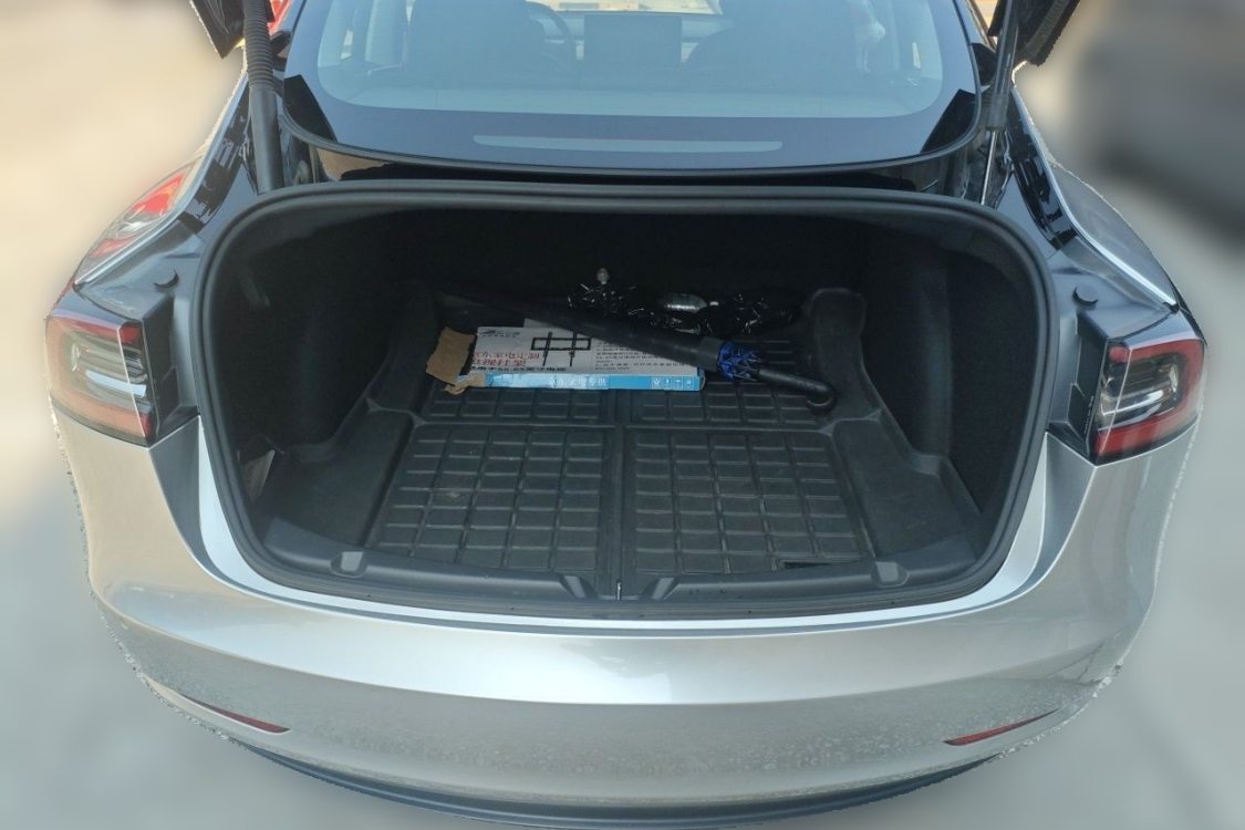 Tesla Model 3 2021 #8 Tesla Model 3 2021 car image #8