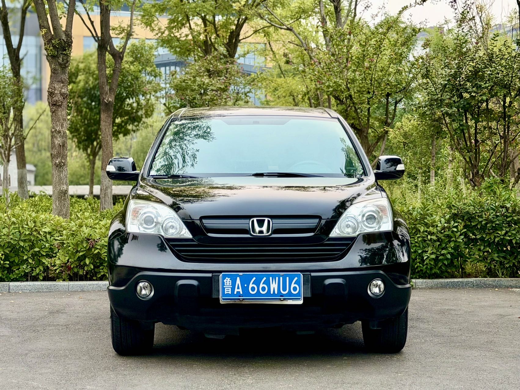 2009 #3 2009 immagine di auto #3