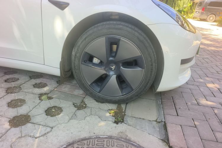 Tesla Model 3 2023 car image #9