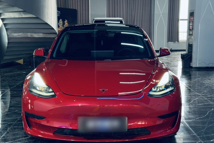 Tesla Model 3 2021 #3 Tesla Model 3 2021 car image #3